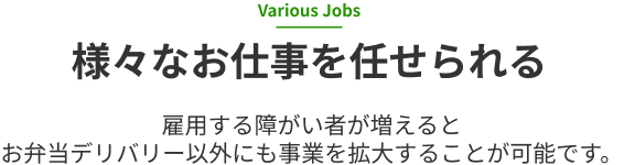 様々な仕事を任せられる