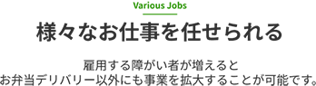 様々な仕事を任せられる